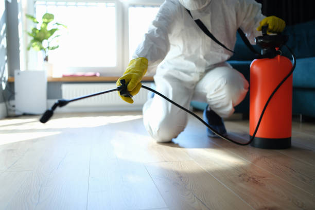 Reliable Sewage Cleanup contractor in Hanahan, SC by Trauma Clean Pros